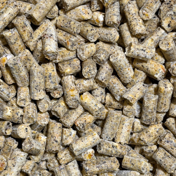 Baby corn Céréales 2kg ,5kg ou 10kg